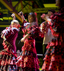 flamenco show entertainment events